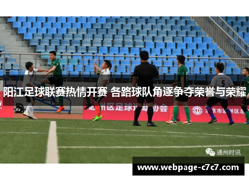 阳江足球联赛热情开赛 各路球队角逐争夺荣誉与荣耀